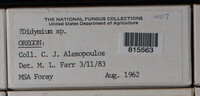 Image Associated With the Occurence